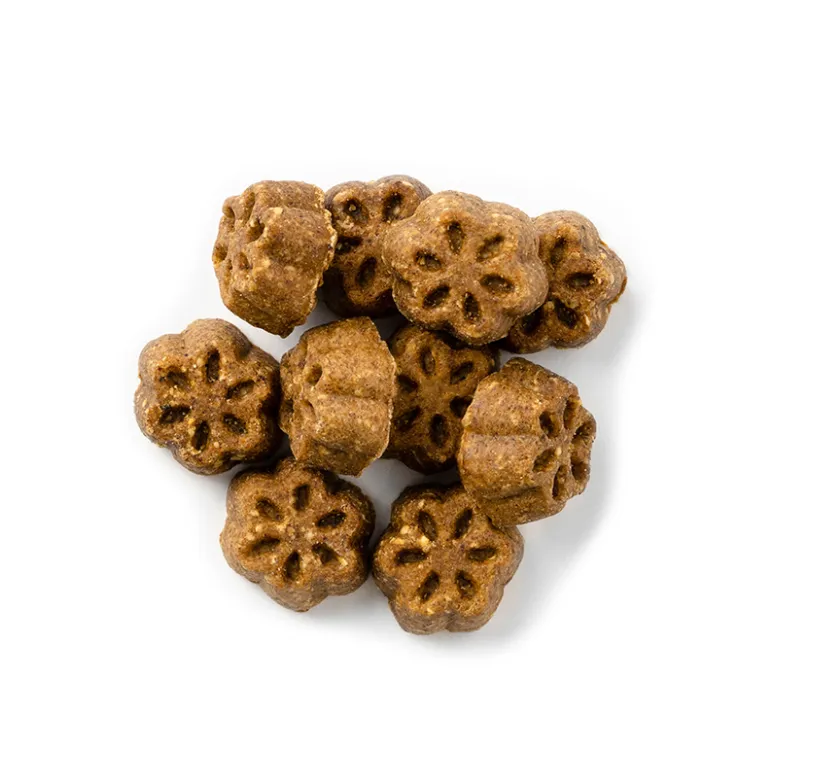 Fruitables Skinny Minis® Pumpkin Berry Dog Treats 5oz