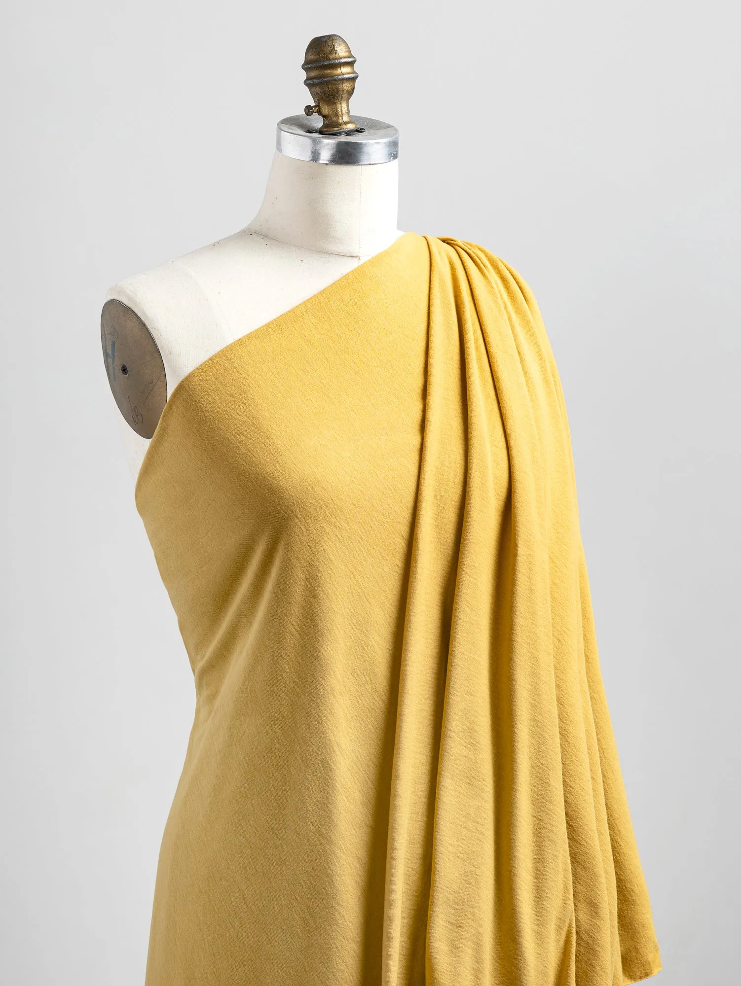 Organic Cotton Jersey Knit - Honey